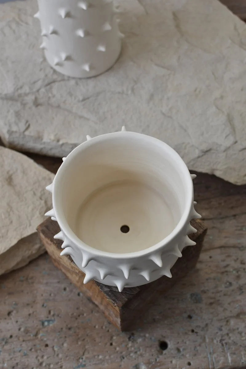 Pottery handmade plant pot with spikes by OWO Ceramics